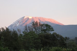 AFR_0996