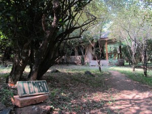 Salt Springs Mara Camp