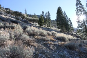 IMG_1456