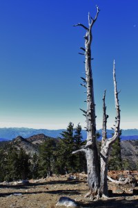 IMG_1522