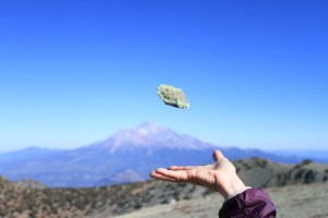 IMG_1715